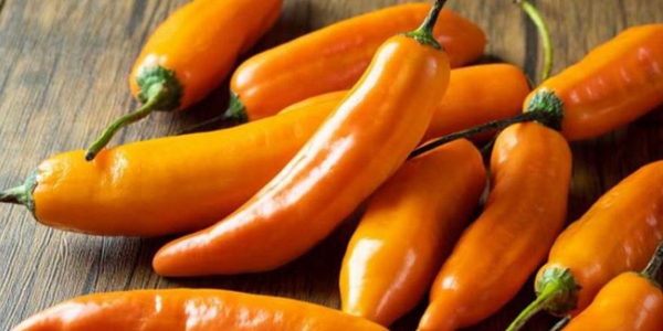 platos picantes con Ají amarillo ají amarillo