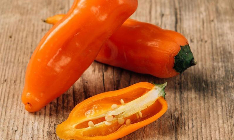 Ají Amarillo aji amarillo