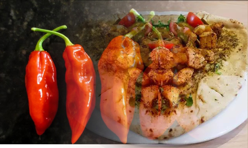 Pollo Fatalii Pollo Fatalii