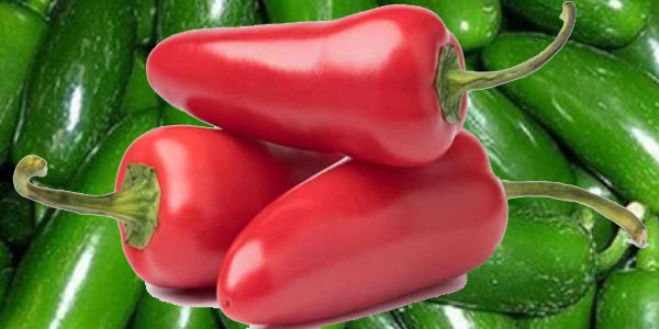 platos picantes con Jalapeño jalapeño