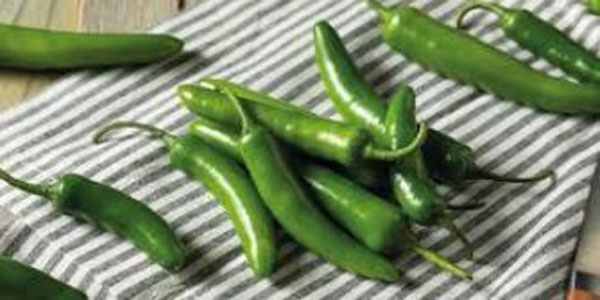 platos picantes con Serrano serrano