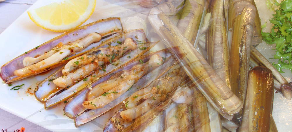 marisco Navajas en Bilbao navajas